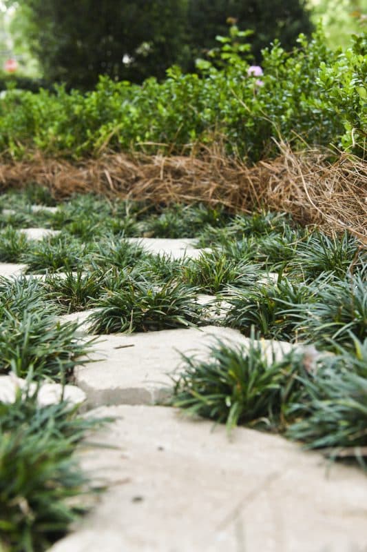 Hardscaping