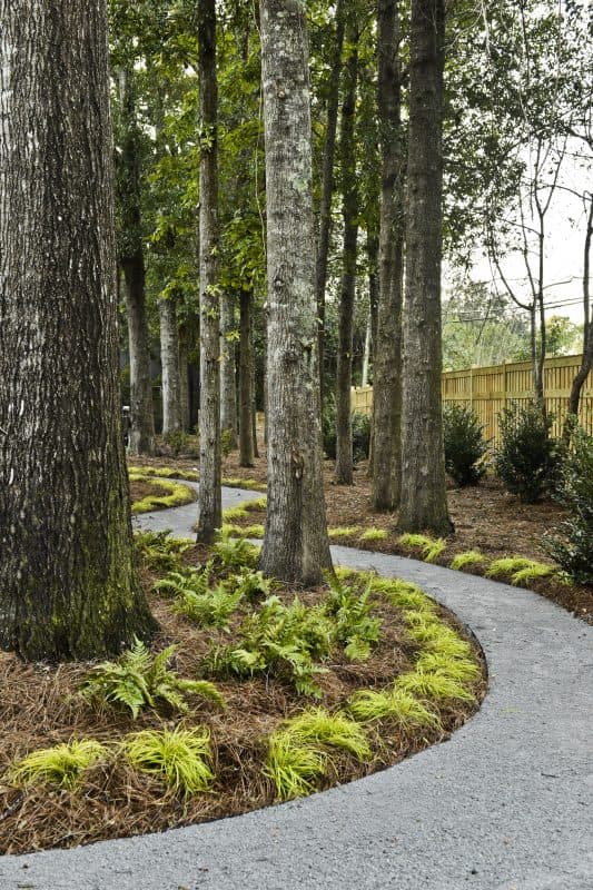 Landscaping