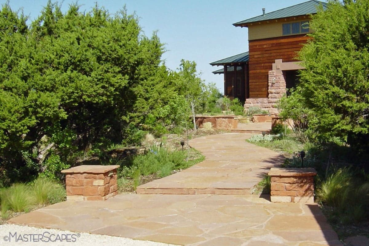 Paths and Steps