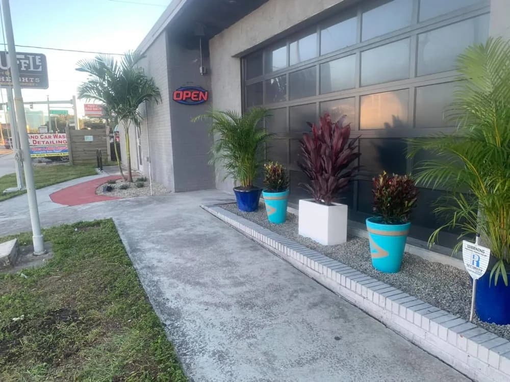 Verde Profesional