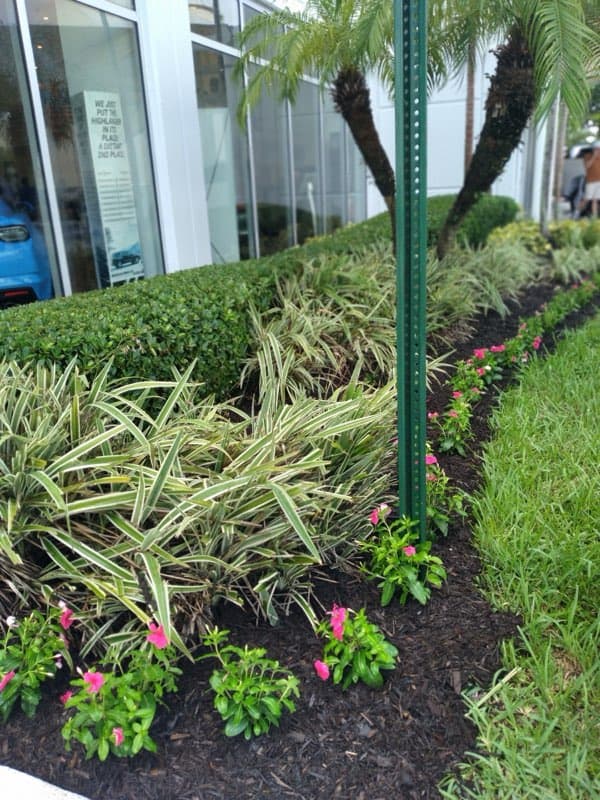 Jardines de Firma