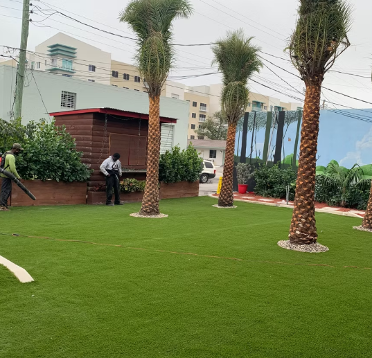 Landscape design