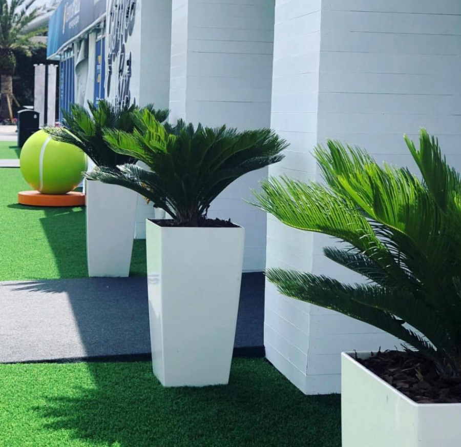 Landscape design