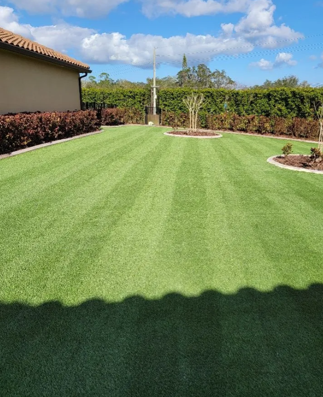 Artificial Turf